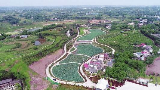 自贡市贡井区双轮驱动,建设全市产业转型升级先行区