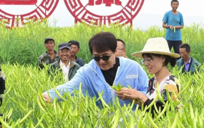 乡村振兴案例:山西云州补齐产业短板 打造“小黄花大产业” 乡村振兴案例:山西云州补齐产业短板 打造“小黄花大产业”