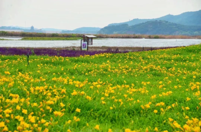 七孔桥花海露营地 七孔桥花海露营地