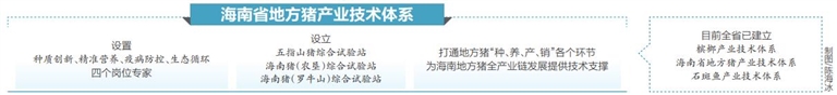 全国首个地方猪产业技术体系启动 将解决海南地方猪产业问题 全国首个地方猪产业技术体系启动 将解决海南地方猪产业问题