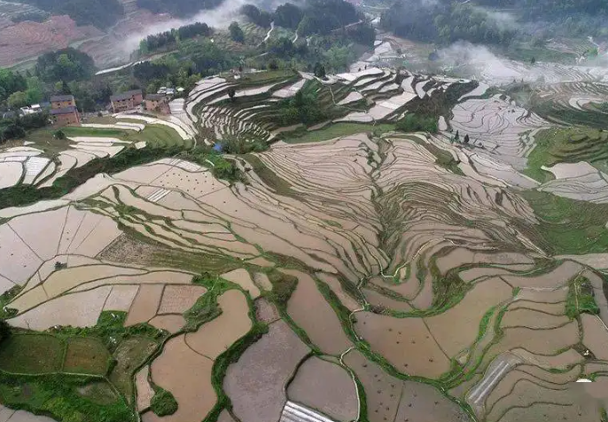 酉阳县乡村产业发展问题 酉阳县乡村产业发展问题