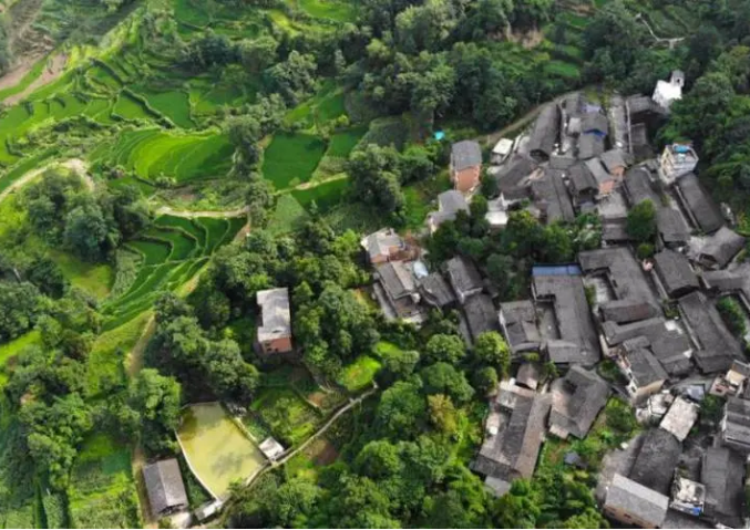 酉阳县乡村产业赋能乡村经济发展的路径 酉阳县乡村产业赋能乡村经济发展的路径