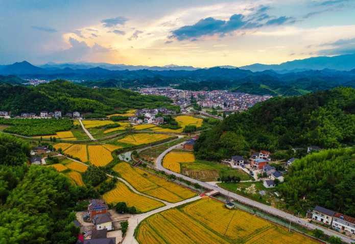 当前乡村产业振兴存在哪些困难？乡村产业振兴5大对策建议