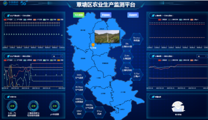 5G技术助力广西贵港茶产业数字化转型及产业链延伸 5G技术助力广西贵港茶产业数字化转型及产业链延伸