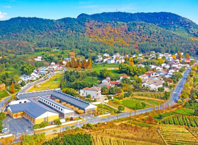 乡村产业振兴规划的思路是什么?从这五个方面入手! 乡村产业振兴规划的思路是什么?从这五个方面入手!