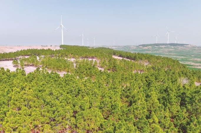 五河县朱顶镇饮马湖风力发电场 五河县朱顶镇饮马湖风力发电场