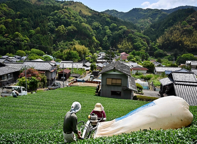 日本造村运动