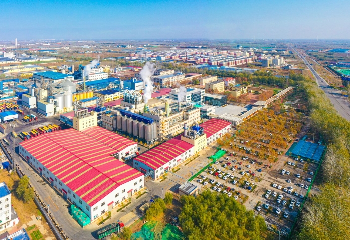 山东省生物经济发展的对策和建议 山东省生物经济发展的对策和建议