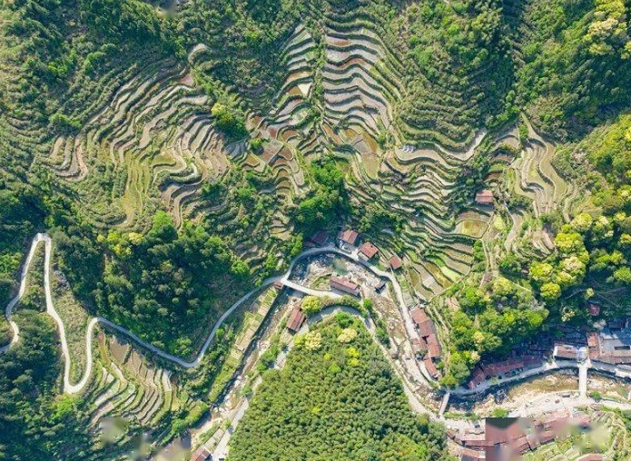 EOD模式下百山祖国家公园既有建筑更新研究 EOD模式下百山祖国家公园既有建筑更新研究