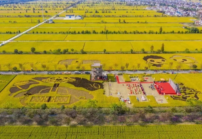 新乡沿黄滩区稻米之乡文旅康养规划设计现存问题及现状 新乡沿黄滩区稻米之乡文旅康养规划设计现存问题及现状