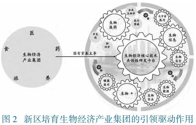 上海市浦东区生物经济发展路径对策及建议 上海市浦东区生物经济发展路径对策及建议