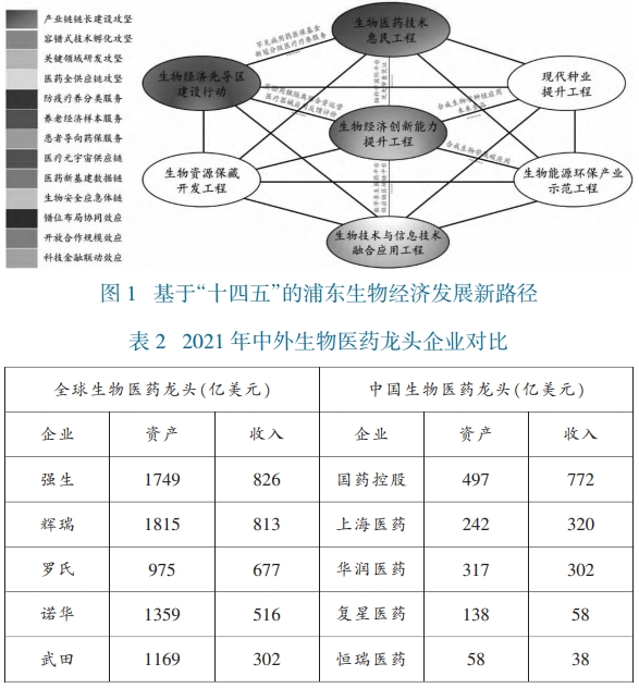 基于“十四五”的浦东生物经济发展新路径 基于“十四五”的浦东生物经济发展新路径