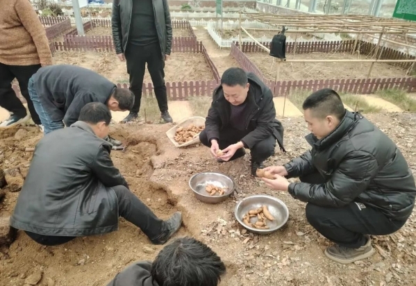 陕西汉中略阳县大力发展天麻产业促进乡村全面振兴