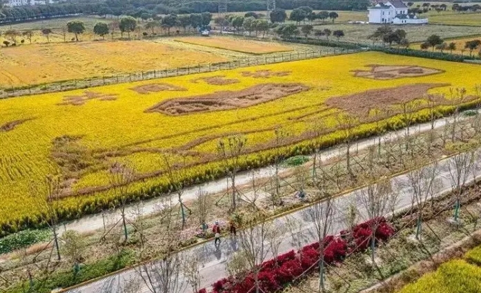 现代农业产业园区双碳转型的实施路径及案例分析 现代农业产业园区双碳转型的实施路径及案例分析