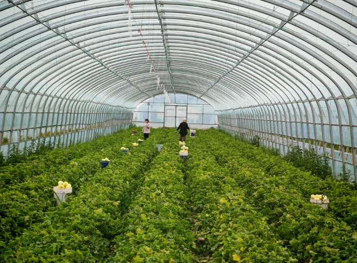 大规模设备更新之设施农业项目超长期特别国债申报指南 大规模设备更新之设施农业项目超长期特别国债申报指南