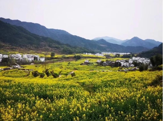 乡村旅游、文化综合体，开发模式与运营方向