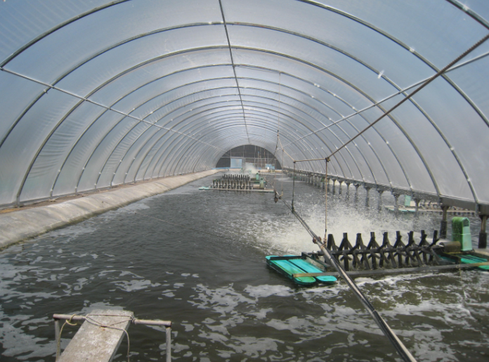 2026年重点流域农业面源污染综合治理水产养殖污染工程项目申报指南 2026年重点流域农业面源污染综合治理水产养殖污染工程项目申报指南