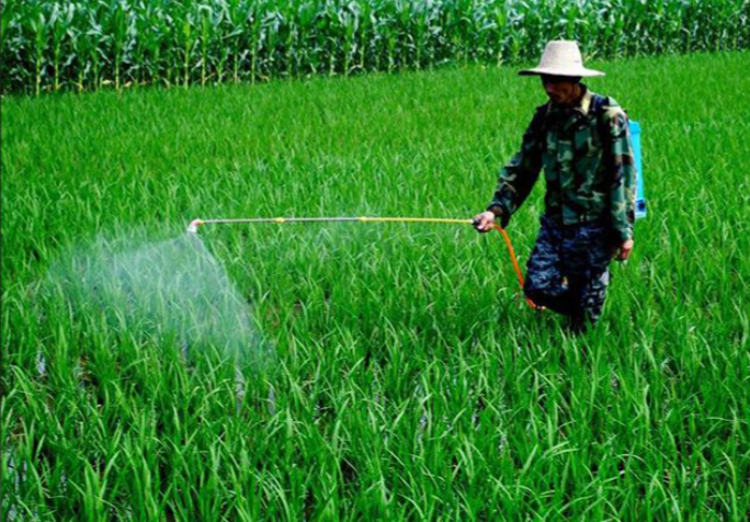 农药专项评价中心建设项目储备申报中央预算资金指南