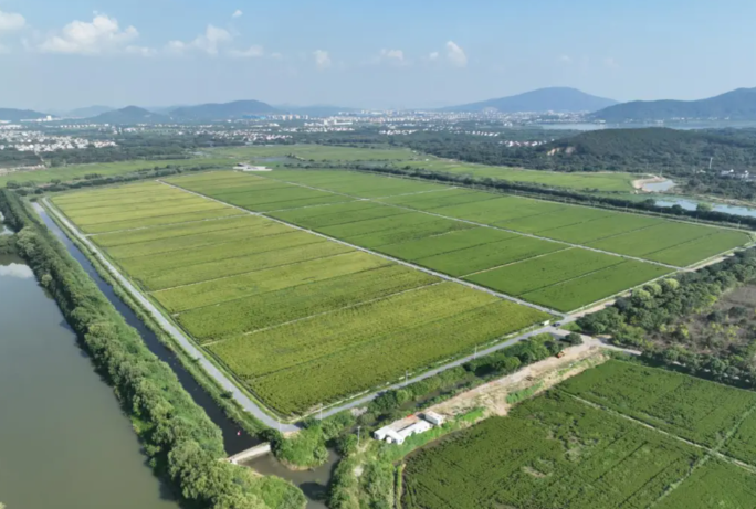 农业面源污染治理面临的主要困境与治理建议