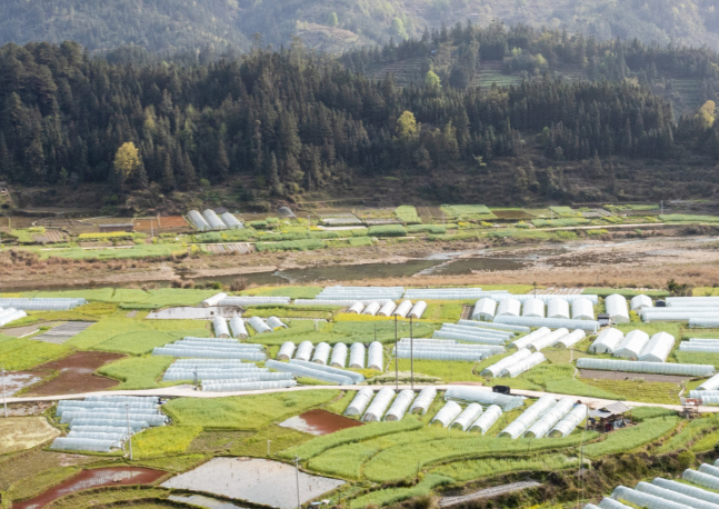 南方农业面源污染治理问题及对策建议