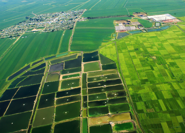 南四湖流域农业面源污染防控对策