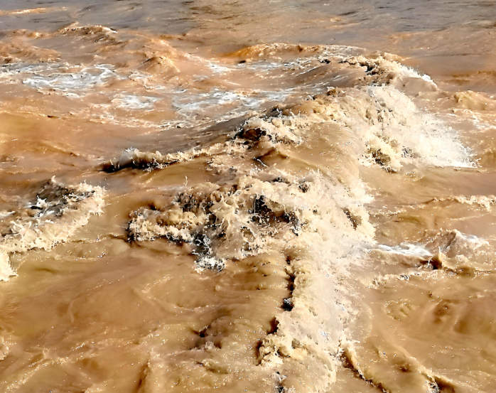 农业面源污染综合治理：黄河流域水质污染及治理对策研究