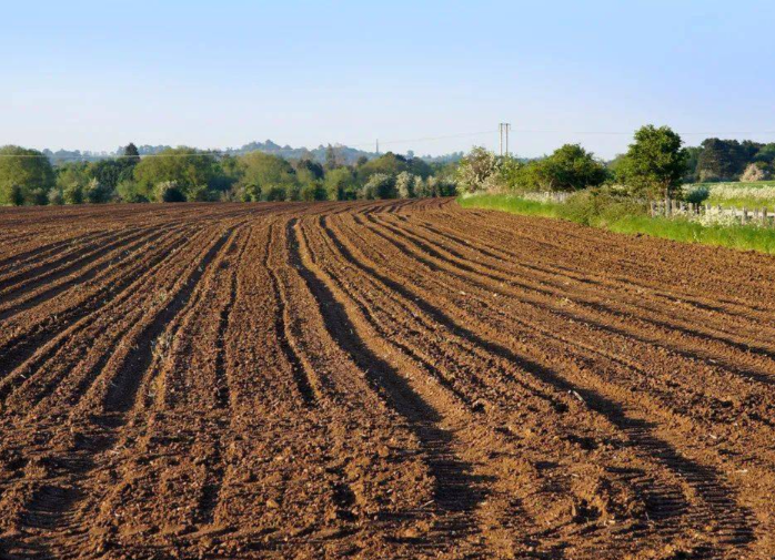 农业面源污染土壤防治的生态修复技术探索