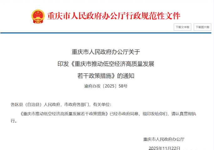 重庆市推动低空经济高质量发展若干政策措施