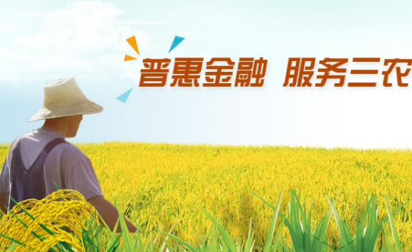  普惠金融是什么意思，普惠金融是什么贷款公司