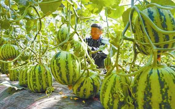 唐山生态农业规划,唐山旅游观光规划