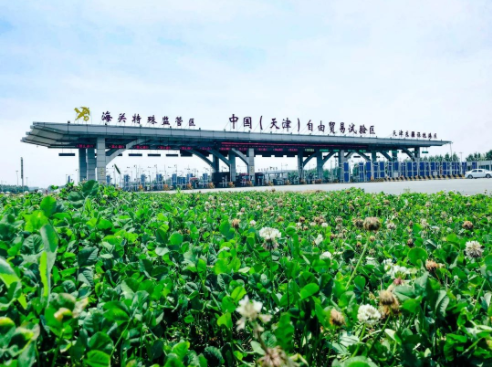 口岸经济转型升级规划,天津东疆保税港区转型升级