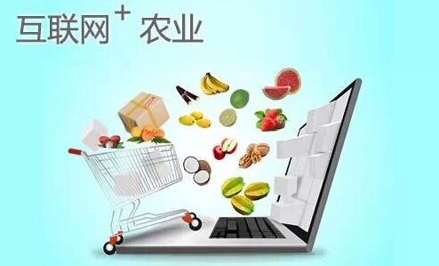推进村庄电子商务产业展开中线上与线下的交融