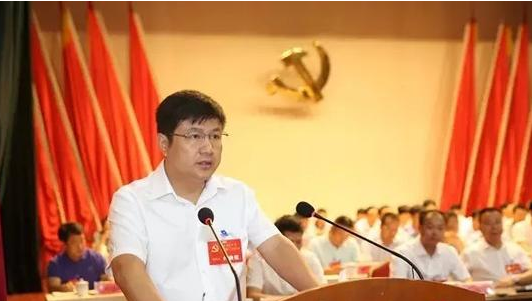 杨洪峰:加速推进电子信息产业发展 打造电子信息产业集聚区