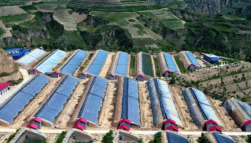 绥德致力打造黄土地上的休闲观光旅游农业示范区