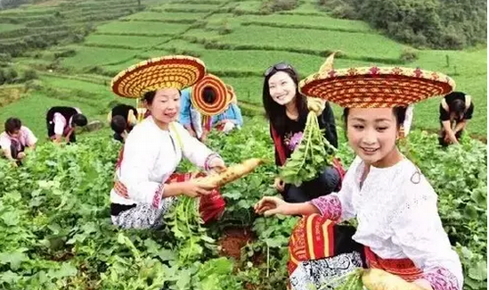 休闲农业做市场，忌盲从领导