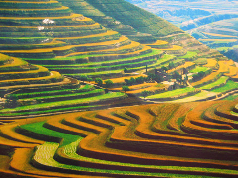 彭阳县文化旅游产业规模化、集约化发展的具体构想研究