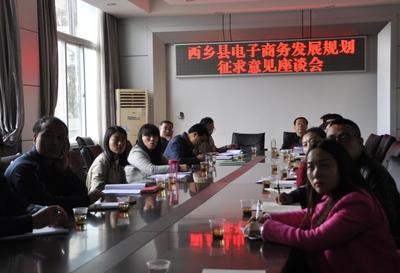 西乡县高起点制定电子商务发展规划