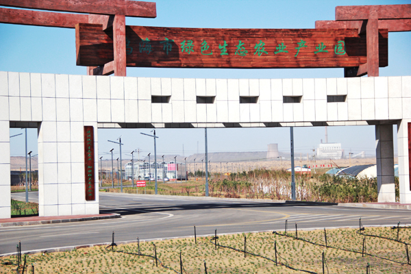 乌海市绿色生态农业产业园发展历程