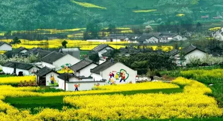 中机院;田园综合体六大发展模式深入研究与探讨