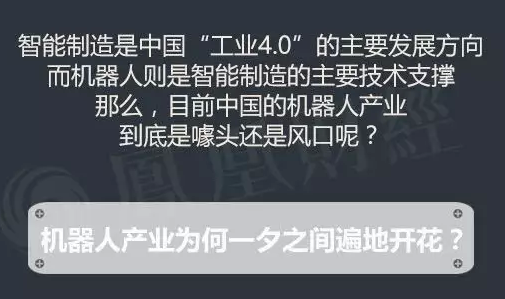 目前中国的机器人产业到底是噱口还是风口呢？