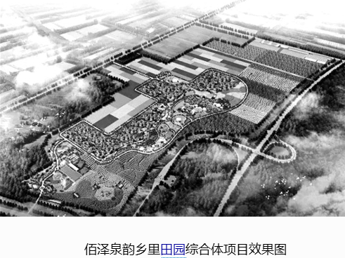 济南总投1000亿的全市首个田园综合体项目签约落户商河