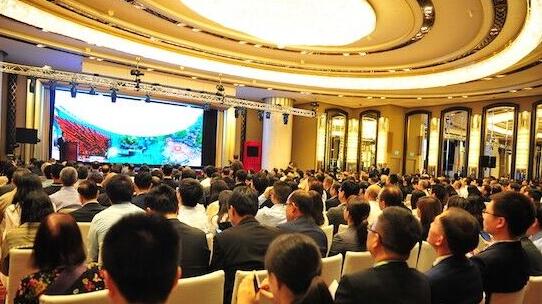 重庆共有24个渝港合作重点项目集中签约,投资总额达621亿元人民币