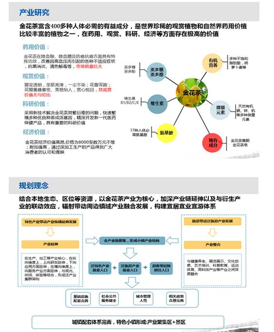 金花茶小镇（位于防城区华石镇）
