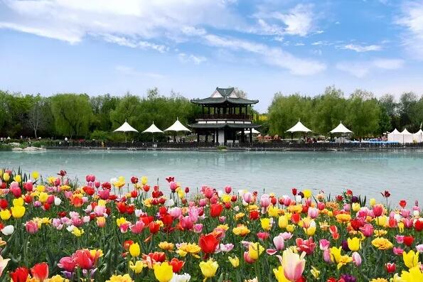 北京市延庆区四季花海