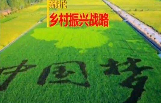实施乡村振兴战略第一个五年工作具体部署