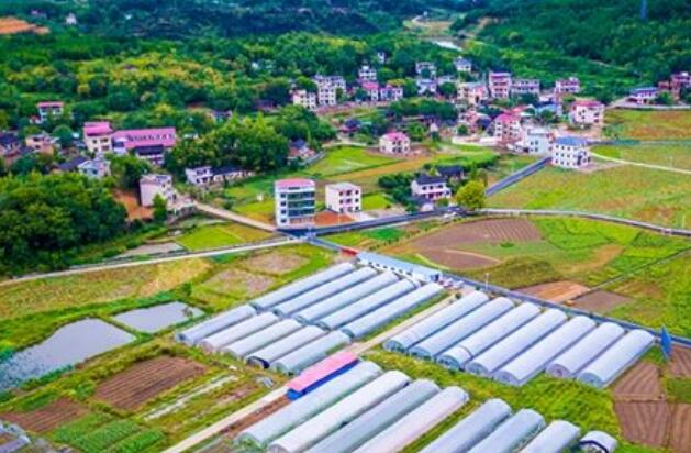 专访黄季焜：国际经验对我国实施乡村振兴战略具有重要的借鉴价值