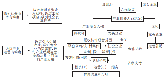 发展模式图