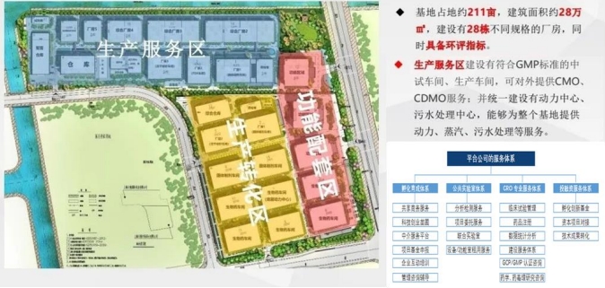 张江创新药产业基地功能布局 张江创新药产业基地功能布局