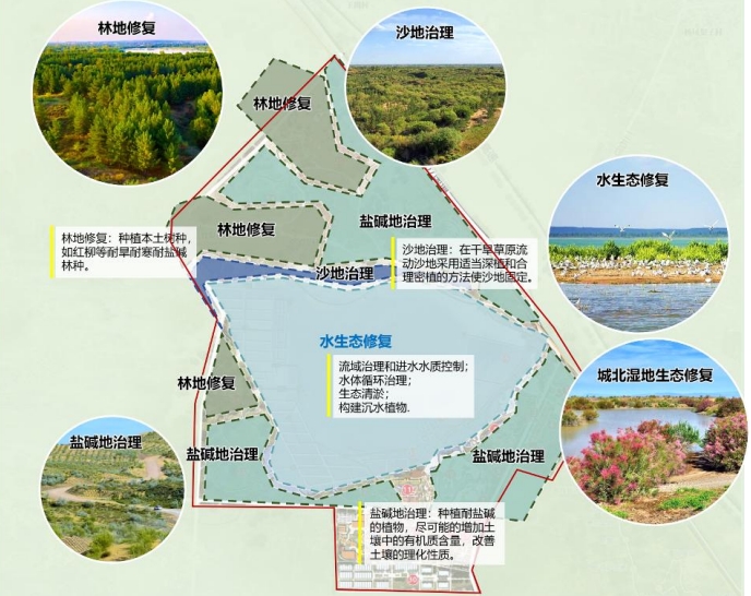 盐湖水环境及周边盐碱地生态治理图