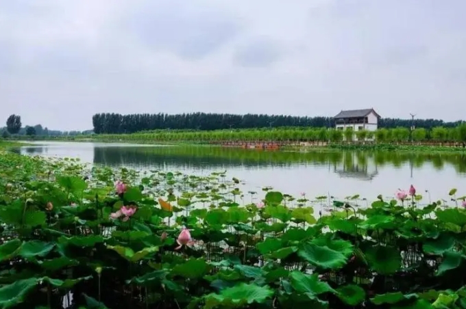 乡村振兴背景下范县陆集乡农村产业发展现状及问题